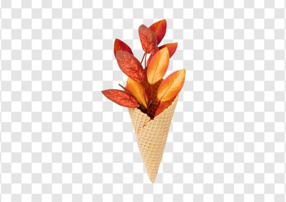 Download #2031 Red Leaves in a Cone Isolated - 2031 Collection