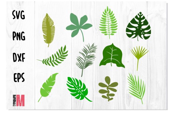 Download Jungle Leaves Tropical SVG Bundle - Svg bundle Collection